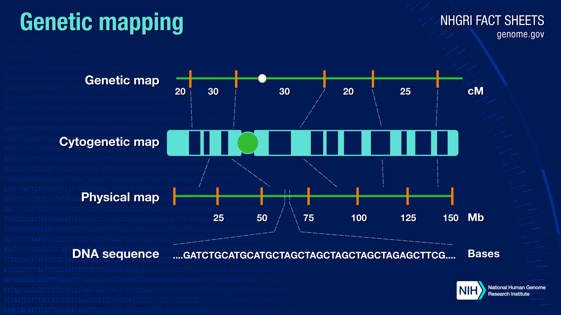 New institute puts Greece on genomics research map