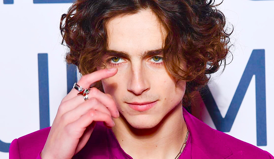 Ο Timothée Chalamet πήγε στο φεστιβάλ της Βενετίας με κόκκινη εξώπλατη ολόσωμα φόρμα