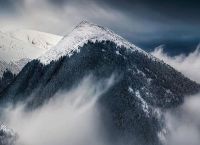 Why did Olympus “turn white” in August?