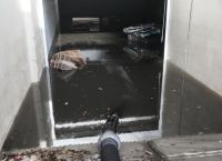 Θεσσαλονίκη: Καταιγίδα έπληξε το πολεοδομικό συγκρότημα της πόλης- 500 κλήσεις στην Πυροσβεστική Θεσσαλονίκη: Καταιγίδα έπληξε το πολεοδομικό συγκρότημα της πόλης- 500 κλήσεις στην Πυροσβεστική