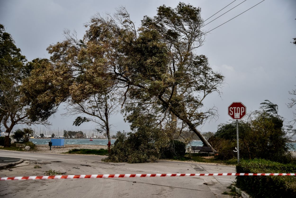 Σάκη Αρναούτογλου: Μην παρκάρετε αυτοκίνητα κάτω από δέντρα – Έρχονται πολύ ισχυροί άνεμοι
