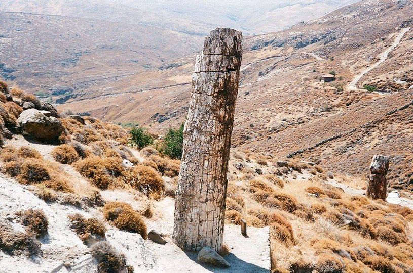 Το Απολιθωμένο Δάσος της Λέσβου μπήκε στη λίστα με τα πρώτα 100 Μνημεία Γεωλογικής Κληρονομιάς