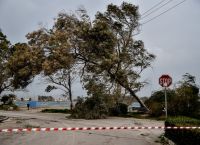 Σάκη Αρναούτογλου: Μην παρκάρετε αυτοκίνητα κάτω από δέντρα – Έρχονται πολύ ισχυροί άνεμοι Σάκη Αρναούτογλου: Μην παρκάρετε αυτοκίνητα κάτω από δέντρα – Έρχονται πολύ ισχυροί άνεμοι