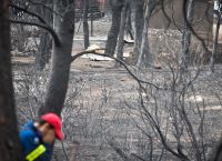 Μάτι: «Ο Μπράιαν εξαφανίστηκε μέσα στη φωτιά και τον άκουσα να φωνάζει» Μάτι: «Ο Μπράιαν εξαφανίστηκε μέσα στη φωτιά και τον άκουσα να φωνάζει»