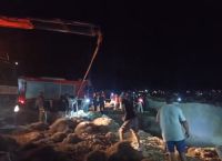 Ολονύχτιο θρίλερ για μετανάστες σε Λέσβο – Κύθηρα Ολονύχτιο θρίλερ για μετανάστες σε Λέσβο – Κύθηρα