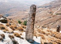 Το Απολιθωμένο Δάσος της Λέσβου μπήκε στη λίστα με τα πρώτα 100 Μνημεία Γεωλογικής Κληρονομιάς Το Απολιθωμένο Δάσος της Λέσβου μπήκε στη λίστα με τα πρώτα 100 Μνημεία Γεωλογικής Κληρονομιάς