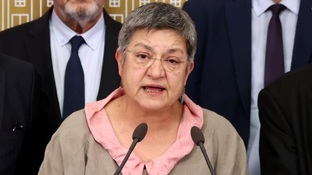 Τουρκία: Ο ΟΗΕ ζητά την απελευθέρωση της επικεφαλής του ιατρικού συλλόγου
