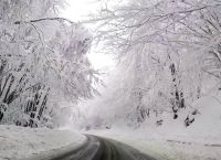 Northern Greece get the first snow of the year in the mountainous