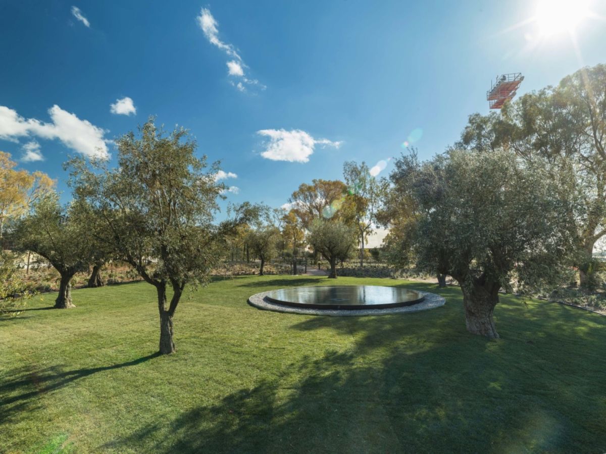 Η Lamda Development ανακοινώνει μία από τις μεγαλύτερες μεταφυτεύσεις δέντρων είναι σε εξέλιξη στο Ελληνικό