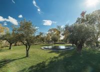 Η Lamda Development ανακοινώνει μία από τις μεγαλύτερες μεταφυτεύσεις δέντρων είναι σε εξέλιξη στο Ελληνικό Η Lamda Development ανακοινώνει μία από τις μεγαλύτερες μεταφυτεύσεις δέντρων είναι σε εξέλιξη στο Ελληνικό