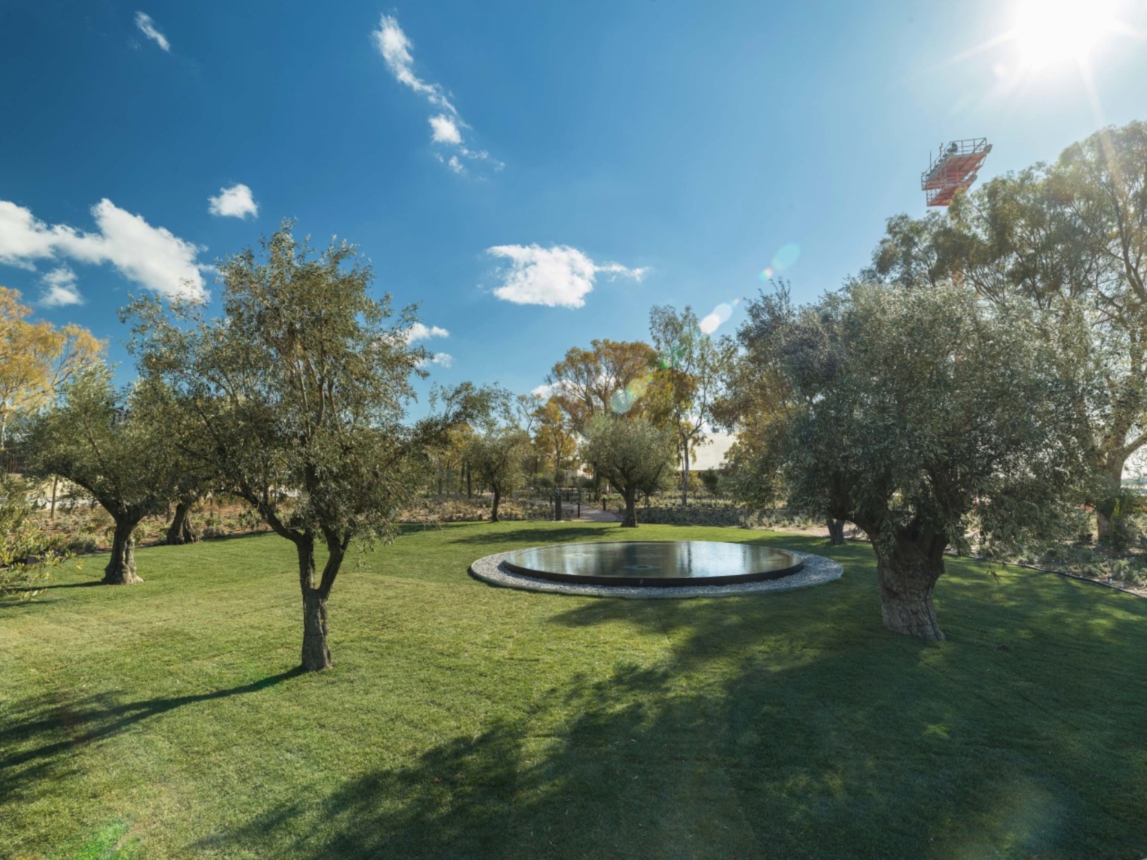 Η Lamda Development ανακοινώνει μία από τις μεγαλύτερες μεταφυτεύσεις δέντρων είναι σε εξέλιξη στο Ελληνικό