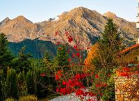 5 villages in Greece for a relaxed Christmas – Stone houses, snow and good food