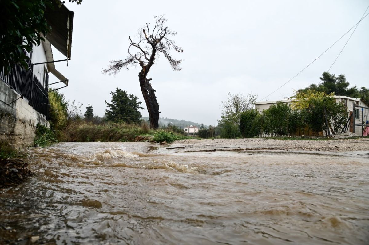 Σαρώνει η κακοκαιρία Άριελ: Πλημμύρες, πτώσεις δέντρων και βράχων