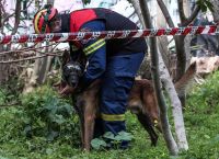Πάτρα: Χωρίς τις αισθήσεις του βρέθηκε ο αγνοούμενος κυνηγός Πάτρα: Χωρίς τις αισθήσεις του βρέθηκε ο αγνοούμενος κυνηγός