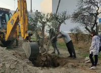 Τρία ελαιόδεντρα «υιοθέτησε» το Γυμνάσιο Σχοινούσας  με τη συνδρομή της ΕΡΓΟΣΕ