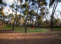 Αθήνα: Δύο νέα dog parks στο Άλσος Χωροφυλακής και Λόφο Λαμπράκη- Συνολικά 5 οι ασφαλείς χώροι για σκύλους