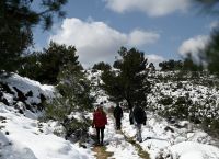 Κακοκαιρία «Μπάρμπαρα»: Φέρνει χιόνια και παγετό Κακοκαιρία «Μπάρμπαρα»: Φέρνει χιόνια και παγετό