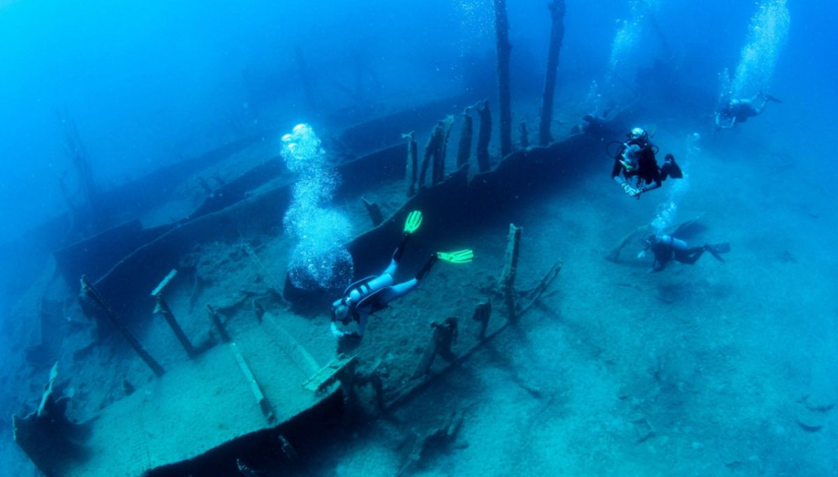 Alonissos: The No. 1 diving destination in the world