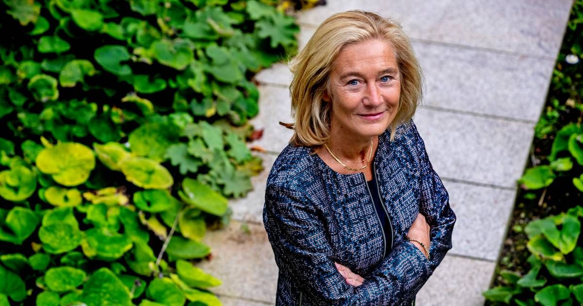 Ολλανδία: 5 Προτάσεις στη στρατηγική της ΕΕ για τις κρίσιμες πρώτες ύλες