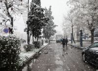 Μπάρμπαρα – ΓΣΕΕ: Ποιοι εργαζόμενοι δικαιολογούνται αύριο να μην πάνε στη δουλειά τους Μπάρμπαρα – ΓΣΕΕ: Ποιοι εργαζόμενοι δικαιολογούνται αύριο να μην πάνε στη δουλειά τους
