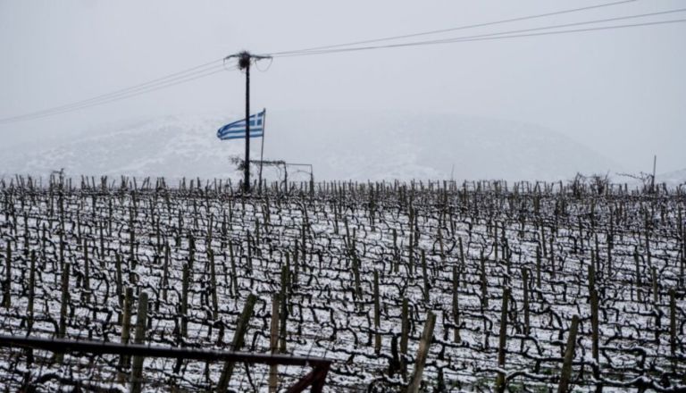 ΥπΑΑΤ: Εφαρμογή – ασπίδα προστασίας για τον παγετό στα χέρια των αγροτών