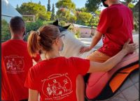 Διαδικτυακή συνάντηση – Round Table με θέμα τη Θεραπευτική Ιππασία Διαδικτυακή συνάντηση – Round Table με θέμα τη Θεραπευτική Ιππασία