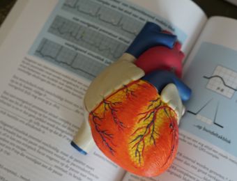 Τέσσερις μύθοι για τα καρδιαγγειακά προβλήματα