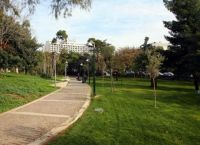 Μετρό Γραμμή4:Δήμος Αθηναίων, Ελληνική Εταιρεία Περιβάλλοντος στηρίζουν το αίτημα Πατέρα να σωθούν 230 δέντρα