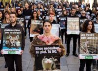 Ανοικτή επιστολή επωνύμων brands: Για μια Ευρώπη χωρίς γούνα Ανοικτή επιστολή επωνύμων brands: Για μια Ευρώπη χωρίς γούνα