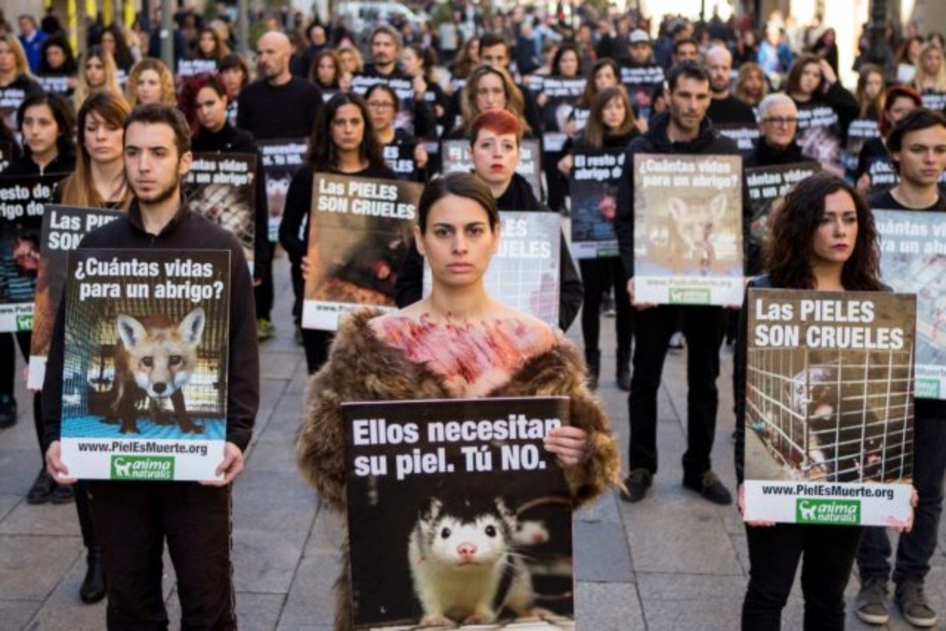 Ανοικτή επιστολή επωνύμων brands: Για μια Ευρώπη χωρίς γούνα