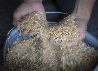 Ρωσία: Αντιπροσωπεία θα συναντηθεί με εκπροσώπους του ΟΗΕ για να συζητήσουν τη συμφωνία για τα σιτηρά