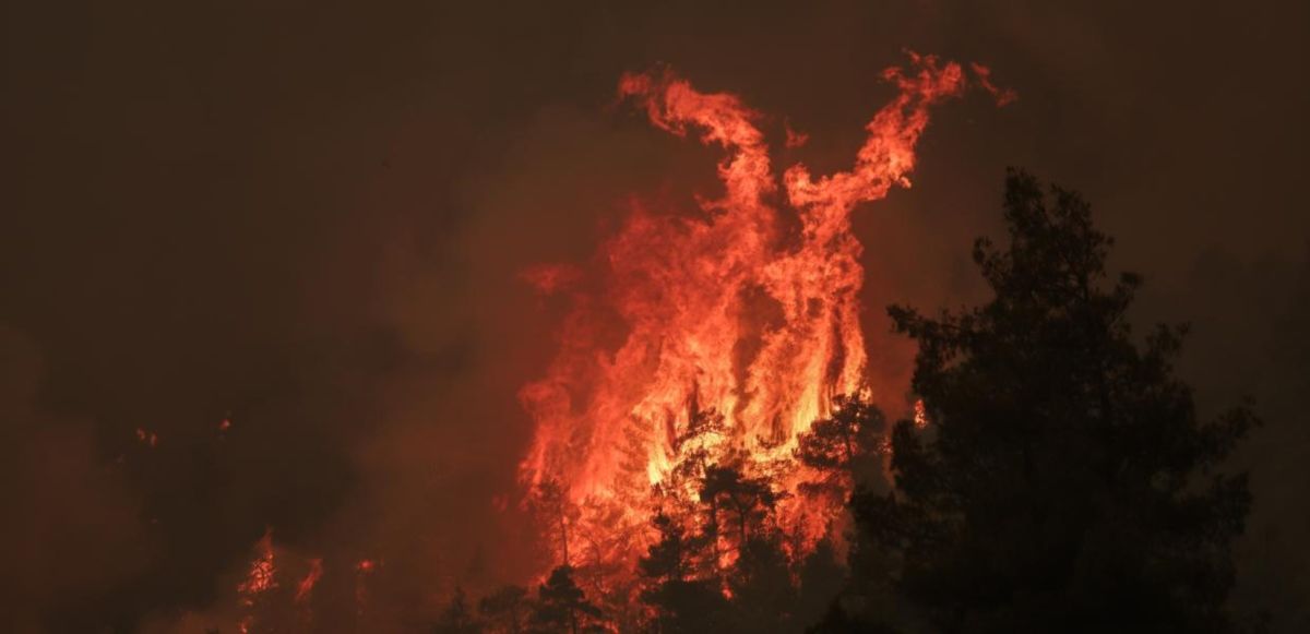 Εύβοια: Πυρκαγιές και σύλληψη για εμπρησμό