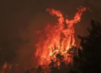 Εύβοια: Πυρκαγιές και σύλληψη για εμπρησμό