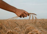 Ακρίβεια: Οι κερδισμένοι κολοσσοί του αγροτικού τομέα