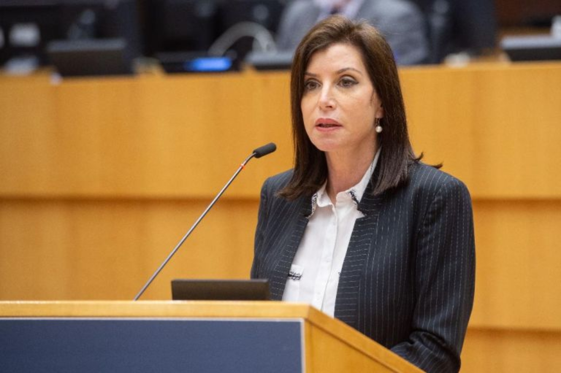 Ασημακοπούλου σε ΣΥΡΙΖΑ για τον φράχτη στον Έβρο: «Αντί να ζητήσουν συγγνώμη, παραπλανούν»