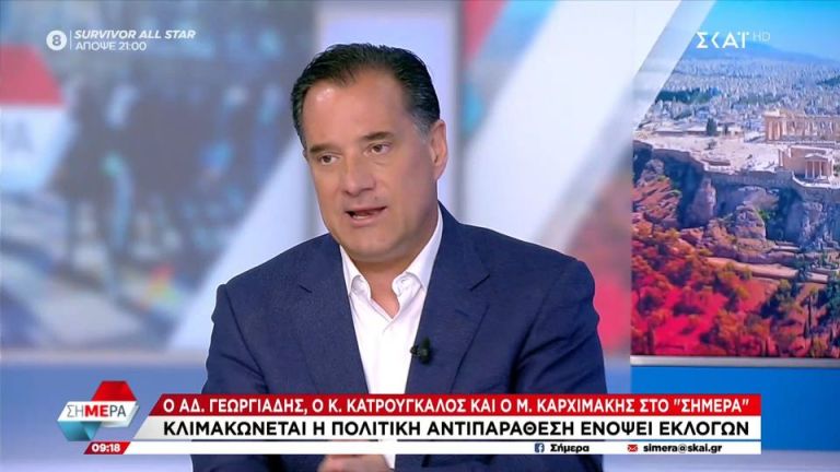 Άδωνις Γεωργιάδης: «Είναι απολύτως προφανές ότι ο Τσίπρας ήξερε και κάλυπτε τον Γεωργούλη»