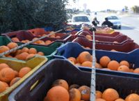 Ταμείο Ανάκαμψης: Από 12 Μαΐου οι αιτήσεις για τη μεταποίηση αγροτικών προϊόντων