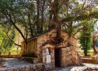 Ανεξήγητο θαύμα της φύσης: Το εκκλησάκι με τα 17 δέντρα στην Αρκαδία που μπήκε στο βιβλίο Γκίνες