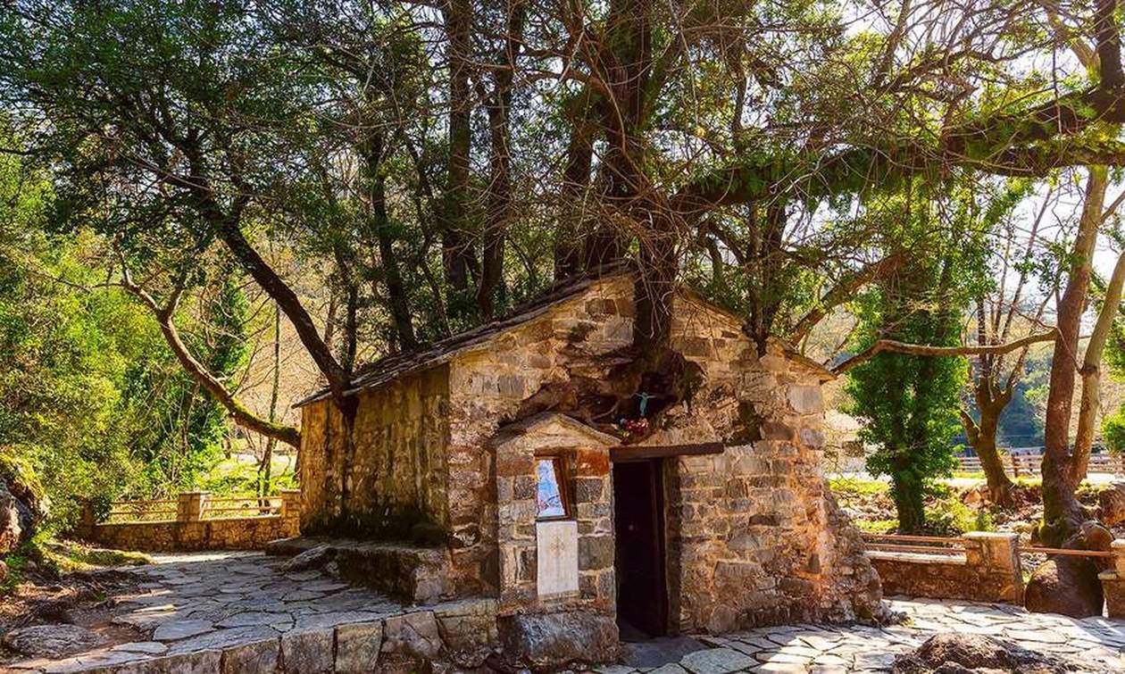 Ανεξήγητο θαύμα της φύσης: Το εκκλησάκι με τα 17 δέντρα στην Αρκαδία που μπήκε στο βιβλίο Γκίνες