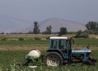 ΚΑΠ: Πώς θα μοιραστούν οι αγροτικές επιδοτήσεις – Το νέο σύστημα πληρωμών