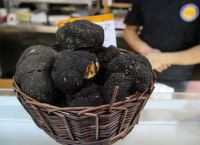 The 1st Panhellenic Truffle Festival in Kalambaka