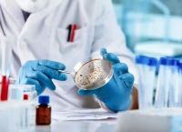 Το πρώτο συνθετικό ανθρώπινο έμβρυο είναι γεγονός – Πόσο επέζησε;