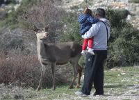 Προς μια ενεργητική διαχείριση των δασών