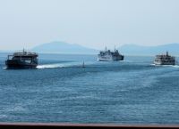 Ακτοπλοϊκές: Ρίχνουν τις τιμές με εκπτώσεις στα εισιτήρια – Αναλυτικοί πίνακες
