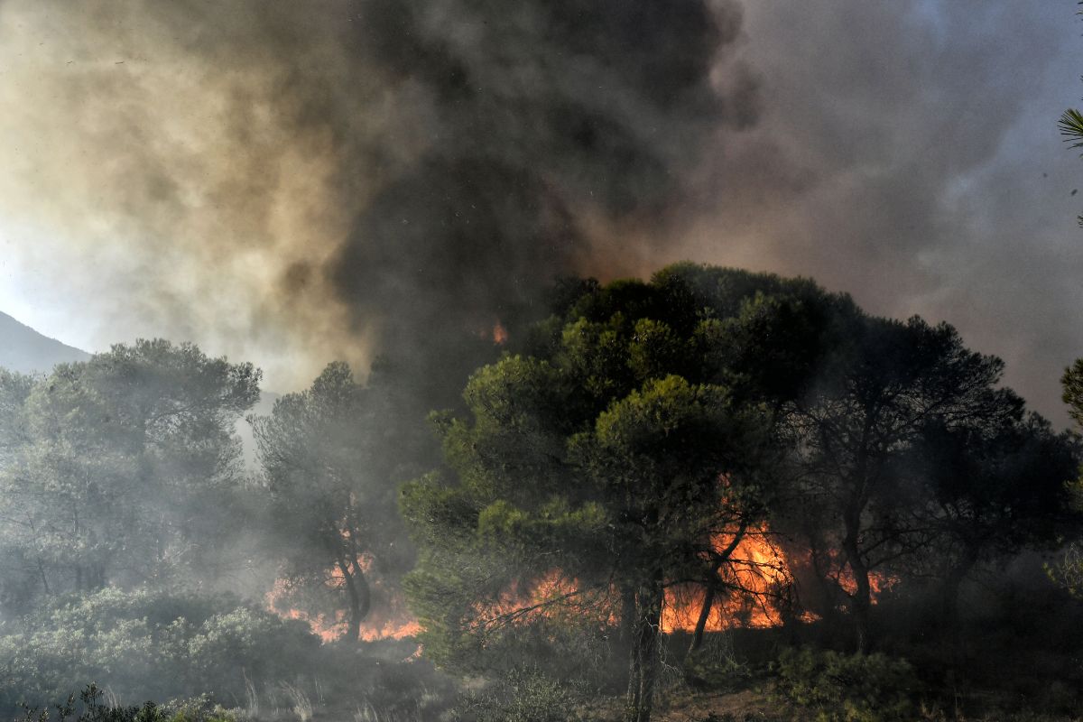 Σύλληψη άντρα 30χρονου στη Μεσσηνία – Ομολόγησε για 3 πυρκαγιές