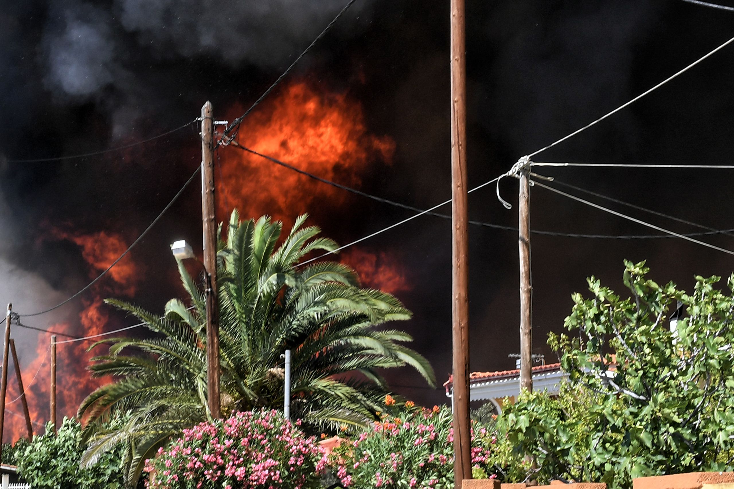 Φωτιά στα Δερβενοχώρια: Προσπάθεια να μην επεκταθεί η φωτιά σε Μάνδρα – Ξεκίνησαν τα εναέρια μέσα
