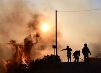 Πυρκαγιά τώρα σε αγροτική έκταση στο Κρόκιο Αλμυρού της Μαγνησίας