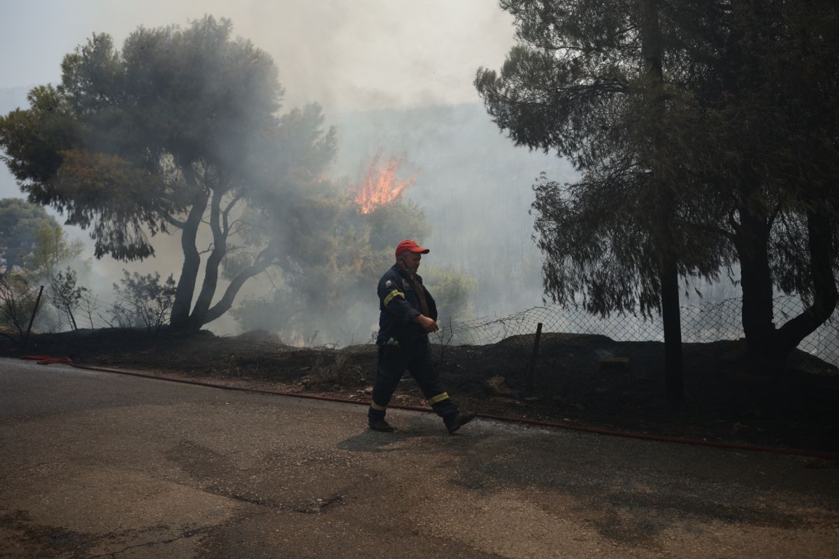 Φωτιές τώρα: Μεγάλες αναζωπυρώσεις σε Αγία Σωτήρα, Στεφάνη και Οινόη – Κοντά σε σπίτια στα Μέγαρα