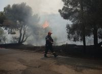 Φωτιές τώρα: Μεγάλες αναζωπυρώσεις σε Αγία Σωτήρα, Στεφάνη και Οινόη – Κοντά σε σπίτια στα Μέγαρα