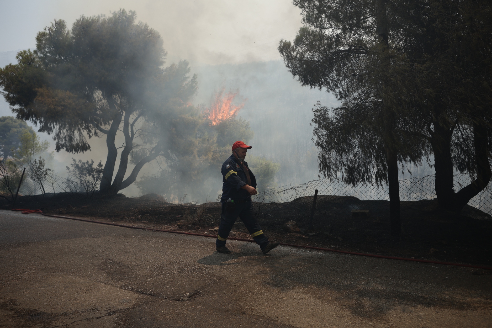 Φωτιές τώρα: Μεγάλες αναζωπυρώσεις σε Αγία Σωτήρα, Στεφάνη και Οινόη – Κοντά σε σπίτια στα Μέγαρα